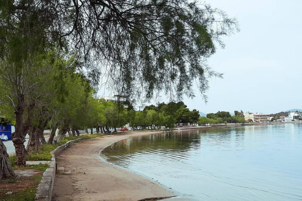Πολυτελές Διαμέρισμα 3 Χαλκίδα-Παραλία Αυλίδος Paralia Avlidhos Екстериор снимка