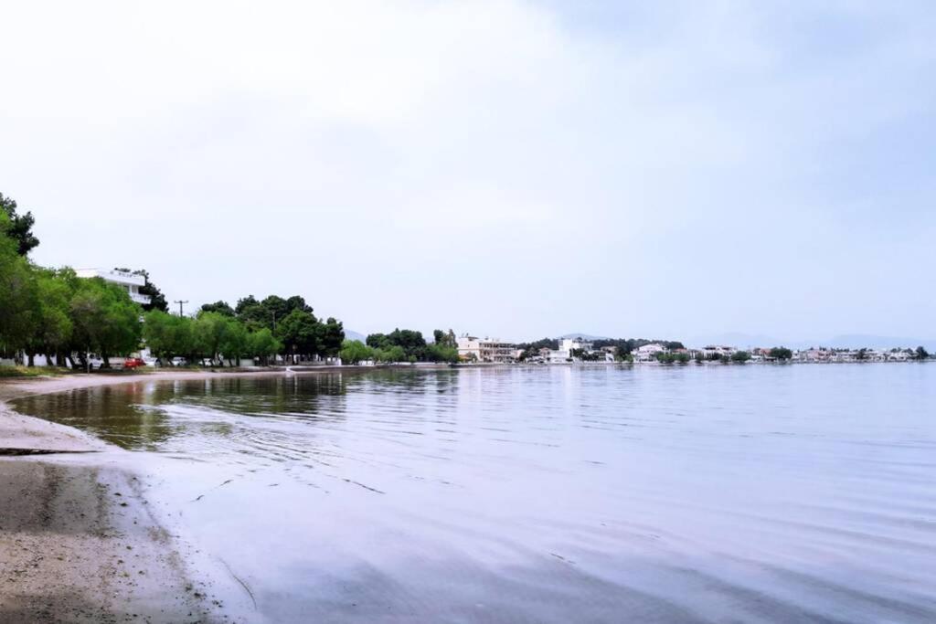 Πολυτελές Διαμέρισμα 3 Χαλκίδα-Παραλία Αυλίδος Paralia Avlidhos Екстериор снимка